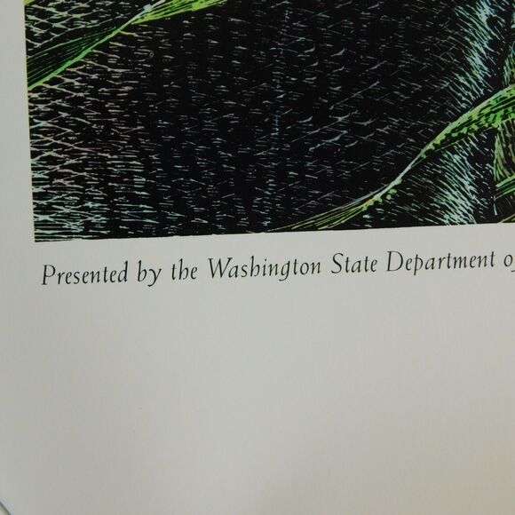 Vintage Art Poster 1995 Larry W. Duke, ESTUARIES 36x24 Nature Coastal NOAA NOS - Picture 6 of 15